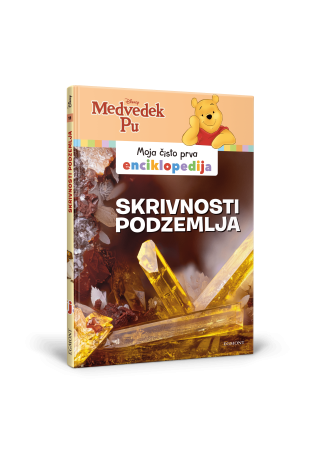 Št. 11 - Medvedek PU enciklopedija - Skrivnosti podzemlja 